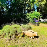 110m2, 7 Pers, Jacuzzi , 3 Chambres, Terrain Clos Et Arboré 2500m2 Trèbes