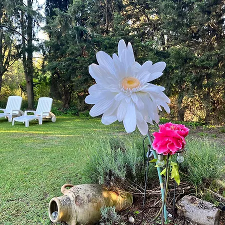 110m2, 7 Pers, Jacuzzi , 3 Chambres, Terrain Clos Et Arbore 2500m2 Βίλα Trèbes