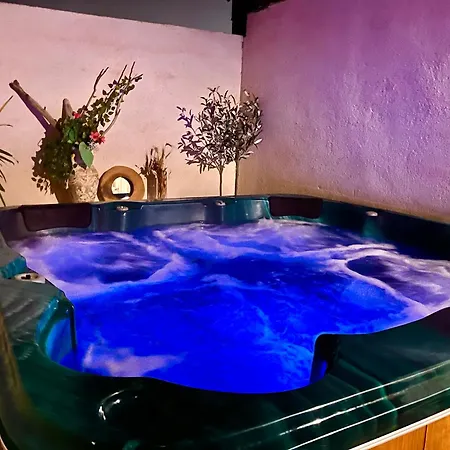 110m2, 7 Pers, Jacuzzi , 3 Chambres, Terrain Clos Et Arbore 2500m2 Trèbes