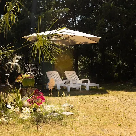 110m2, 7 Pers, Jacuzzi , 3 Chambres, Terrain Clos Et Arbore 2500m2 *