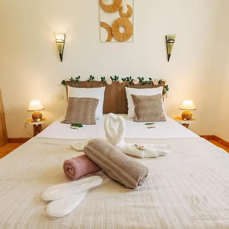 110m2, 7 Pers, Jacuzzi , 3 Chambres, Terrain Clos Et Arbore 2500m2 Trèbes