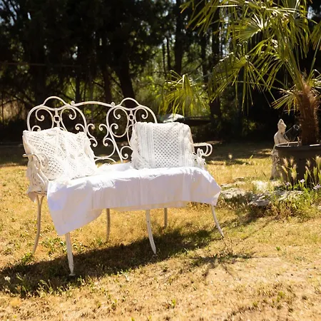 110m2, 7 Pers, Jacuzzi , 3 Chambres, Terrain Clos Et Arbore 2500m2 Villa